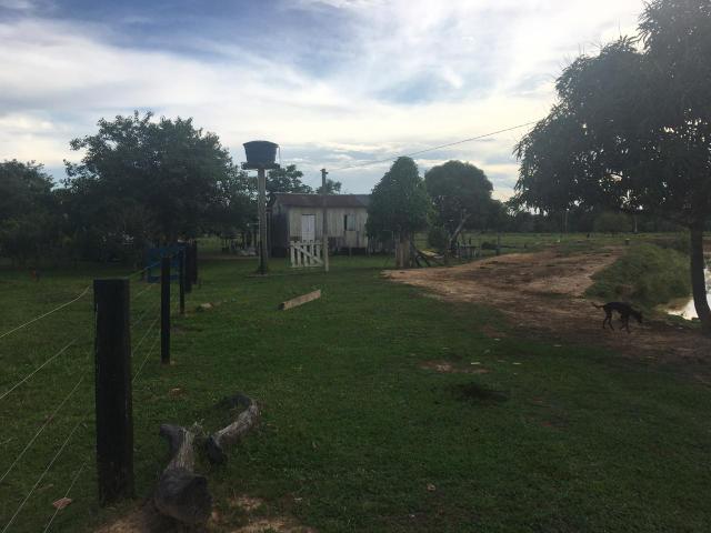 Vende-se uma colônia (Preço Negociável) - Foto 6