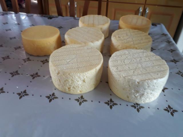 Queijo