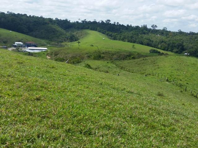 Fazenda na AM 010 - Foto 2