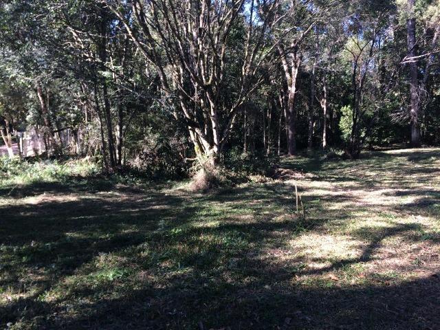 Terreno/chacrinha - Foto 4