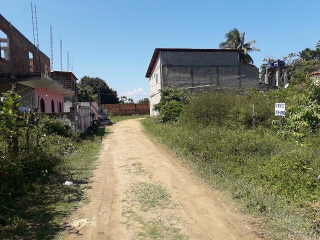 Terreno na Ilha de Amoreiras ( Ponta de Areia-Itaparica) - Foto 10