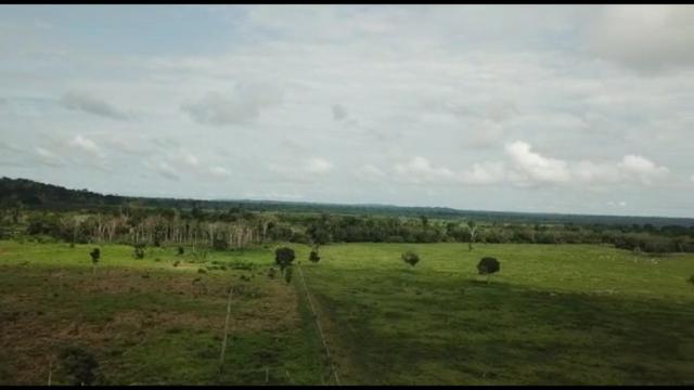 Fazenda 3.500 Hectares Excelente Fazenda - Foto 3