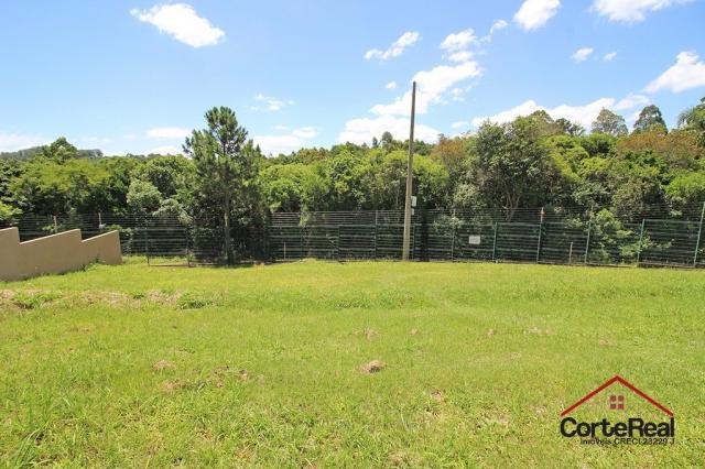 Terreno à venda em Vila nova, Porto alegre cod:6021 - Foto 7
