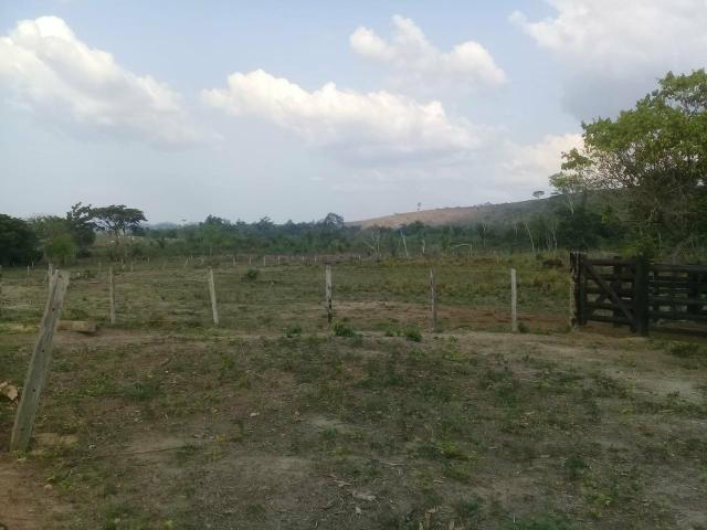 Terra de 15 alqueires - Foto 2