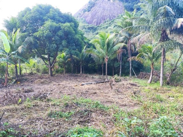 Terreno em São João do Jaboti - Espírito Santo - Foto 8