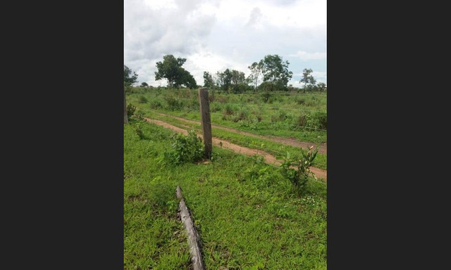 207 alqs Tem logística água e terra conceição TO - Foto 18