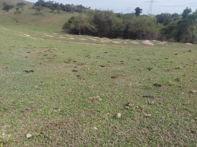 Área 35.000 m² em Sorocaba - Foto 5