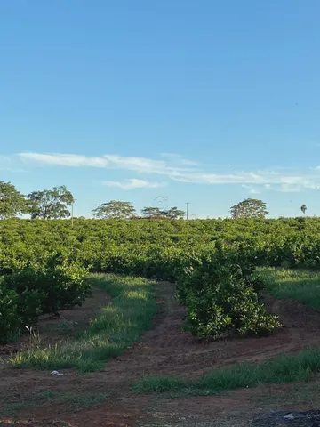 Rural Sítio em Palmeira D`Oeste