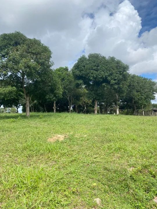 foto - Alagoinhas - Serra do Ouro