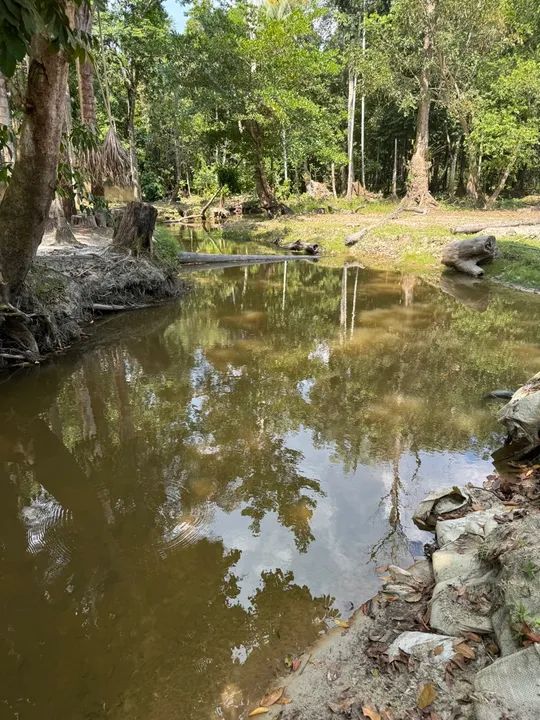 Sítio no ramal do brasileirinho 
