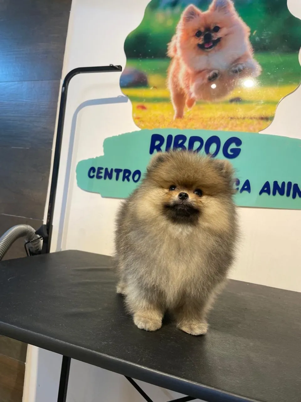 Promoção especial