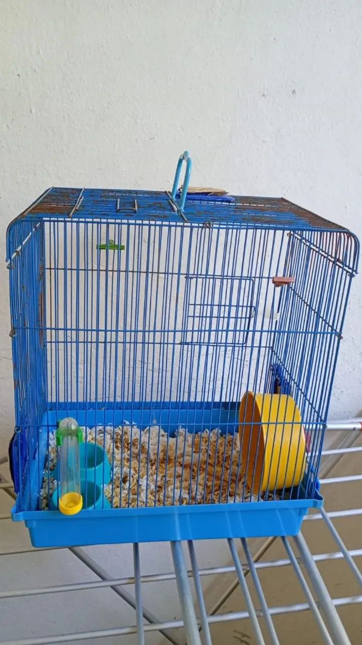 Gaiola de hamster64861039148034121