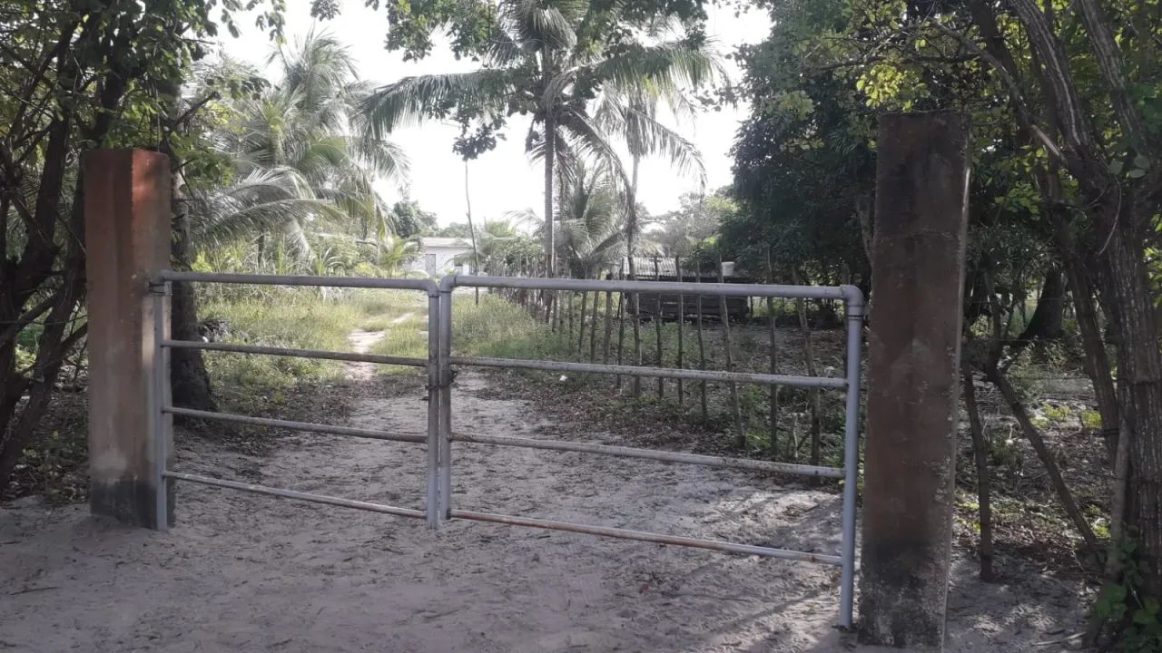 Oportunidade para empreendedores -5 hectares Porteira fechada: apiário e trator - Japarati - Foto 2