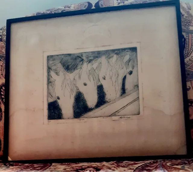 Aras (5/10/1979), quadro em bom estado