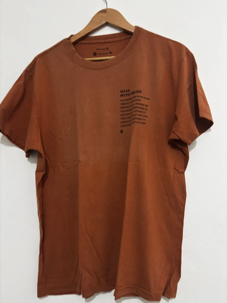 Linda camiseta osklen original usada poucas vezes