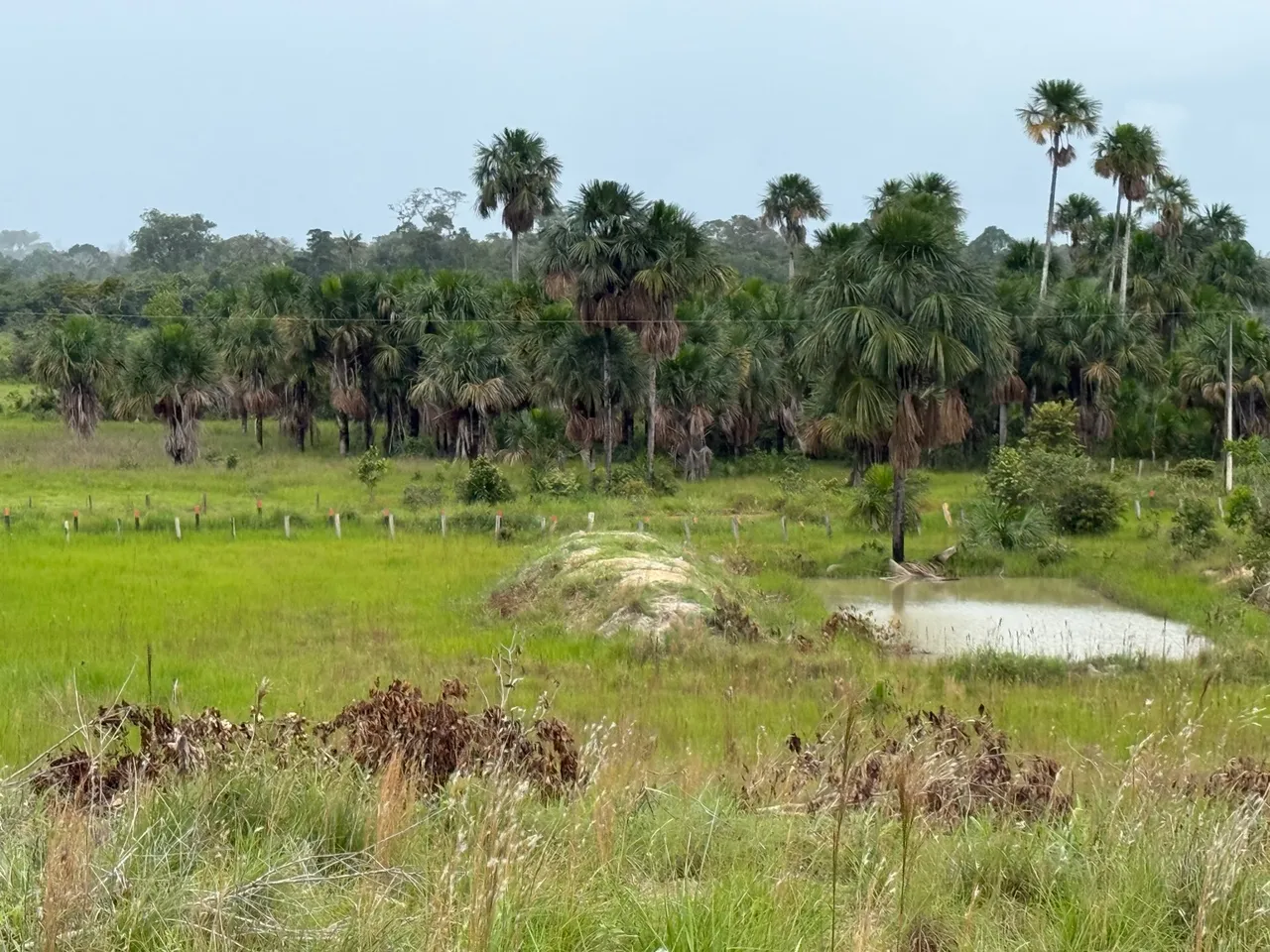 Vende-se Lote no Cantá