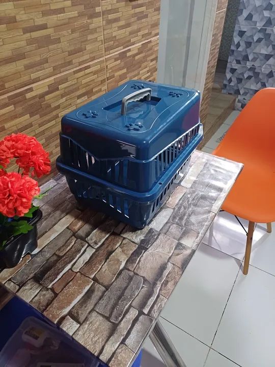 Caixa de Transporte Nr 02 - Foto 3