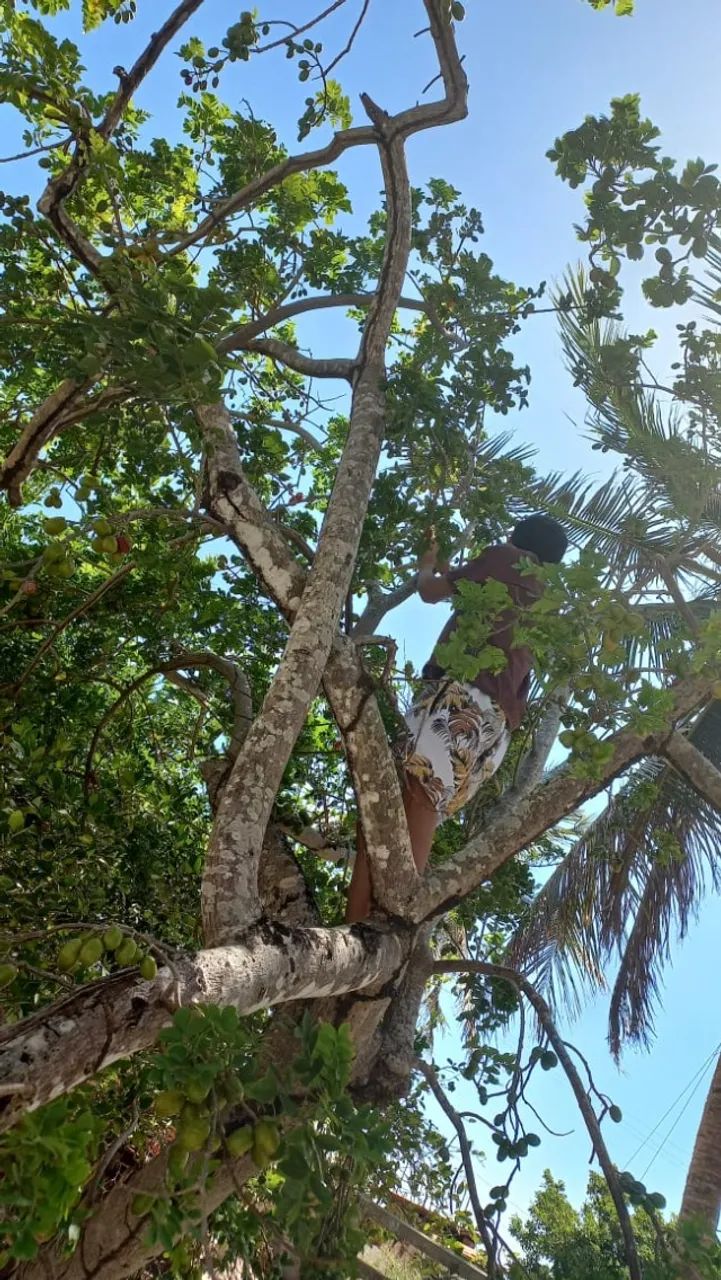 TERRENO NO PARACURU - 1600M2 - A 5 MINUTOS DA PRAIA - Foto 2