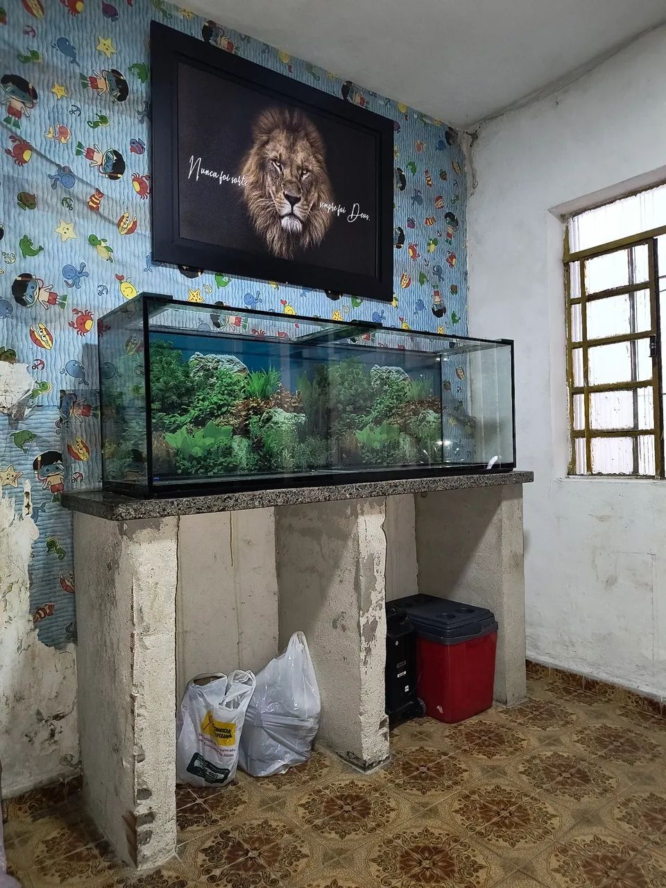 Aquário 500 litros - Foto 4
