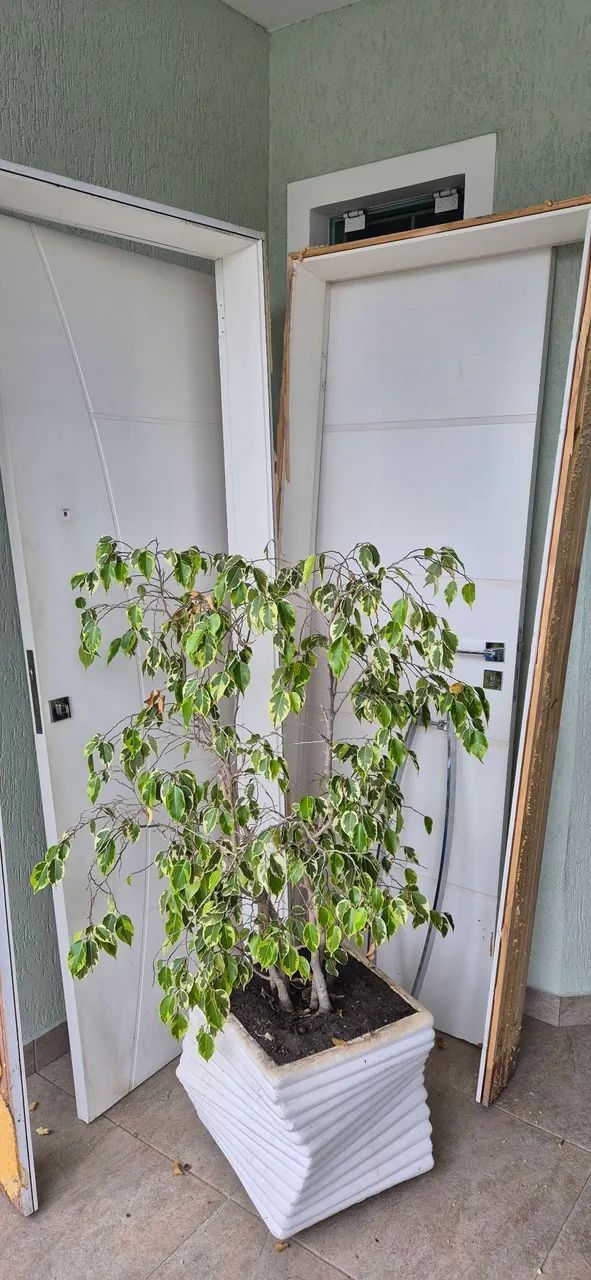 Porta branca de madeira usada - Foto 2