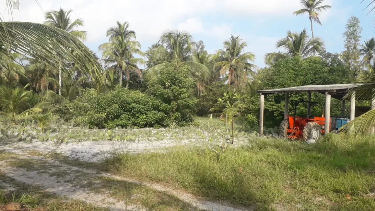 Oportunidade para empreendedores -5 hectares Porteira fechada: apiário e trator - Japarati