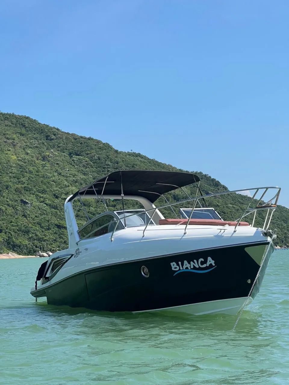 Lancha Ônix 29 pés  - Foto 9