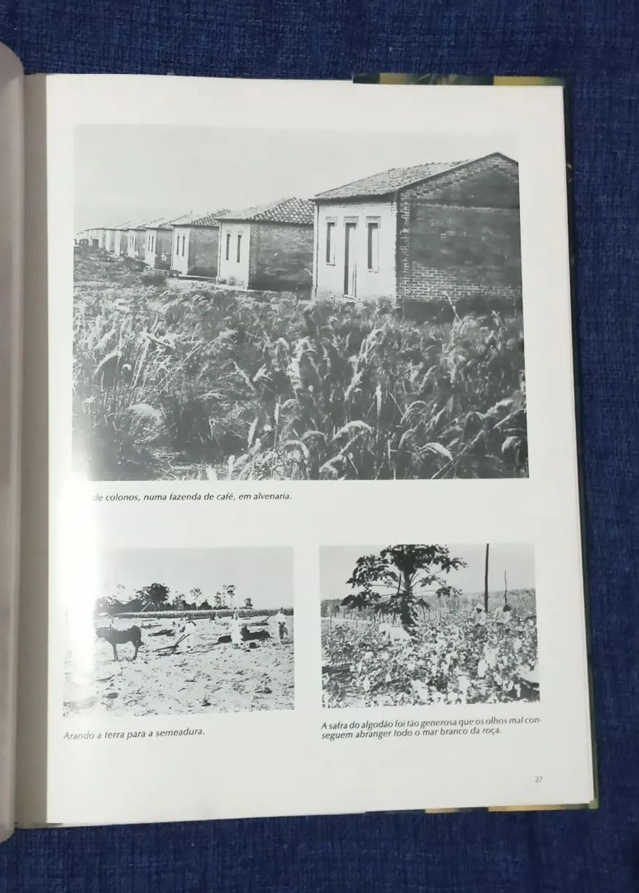 Vida e Arte dos Japoneses no Brasil - Foto 5