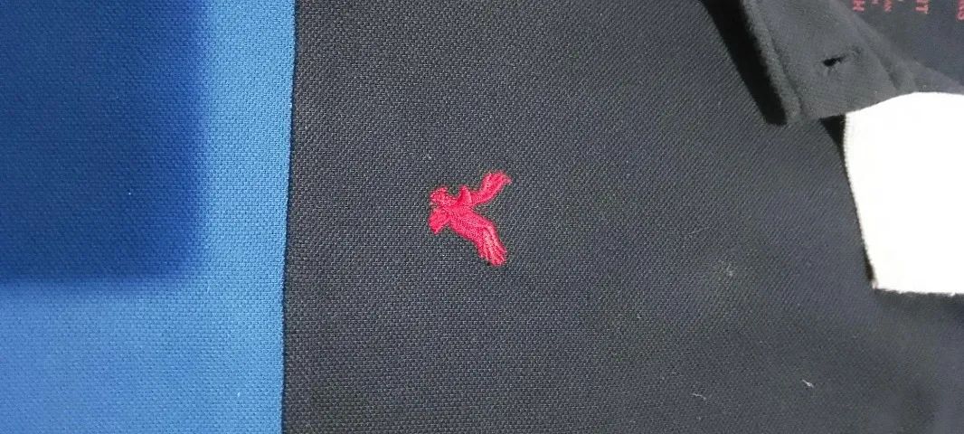 IBRECHÓ - CAMISA POLO AMERICAN EAGLE TAMANHO M - IMPORTADA - Foto 4