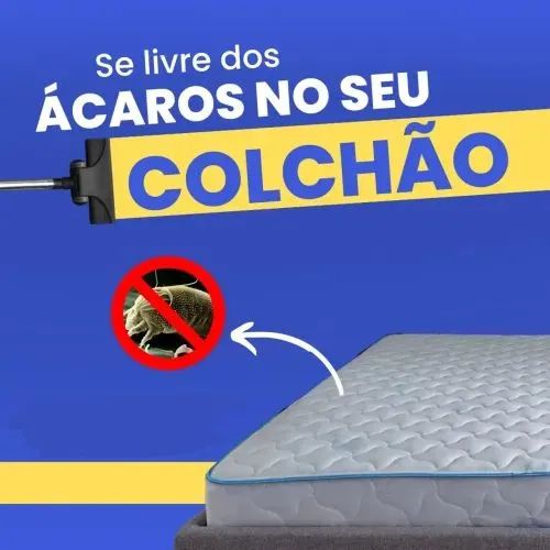 Lavagem a seco
