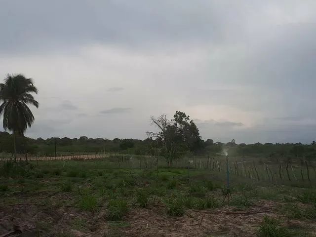 Ótima  Fazenda com 27 hectares de porteira fechada em traíras - Foto 4