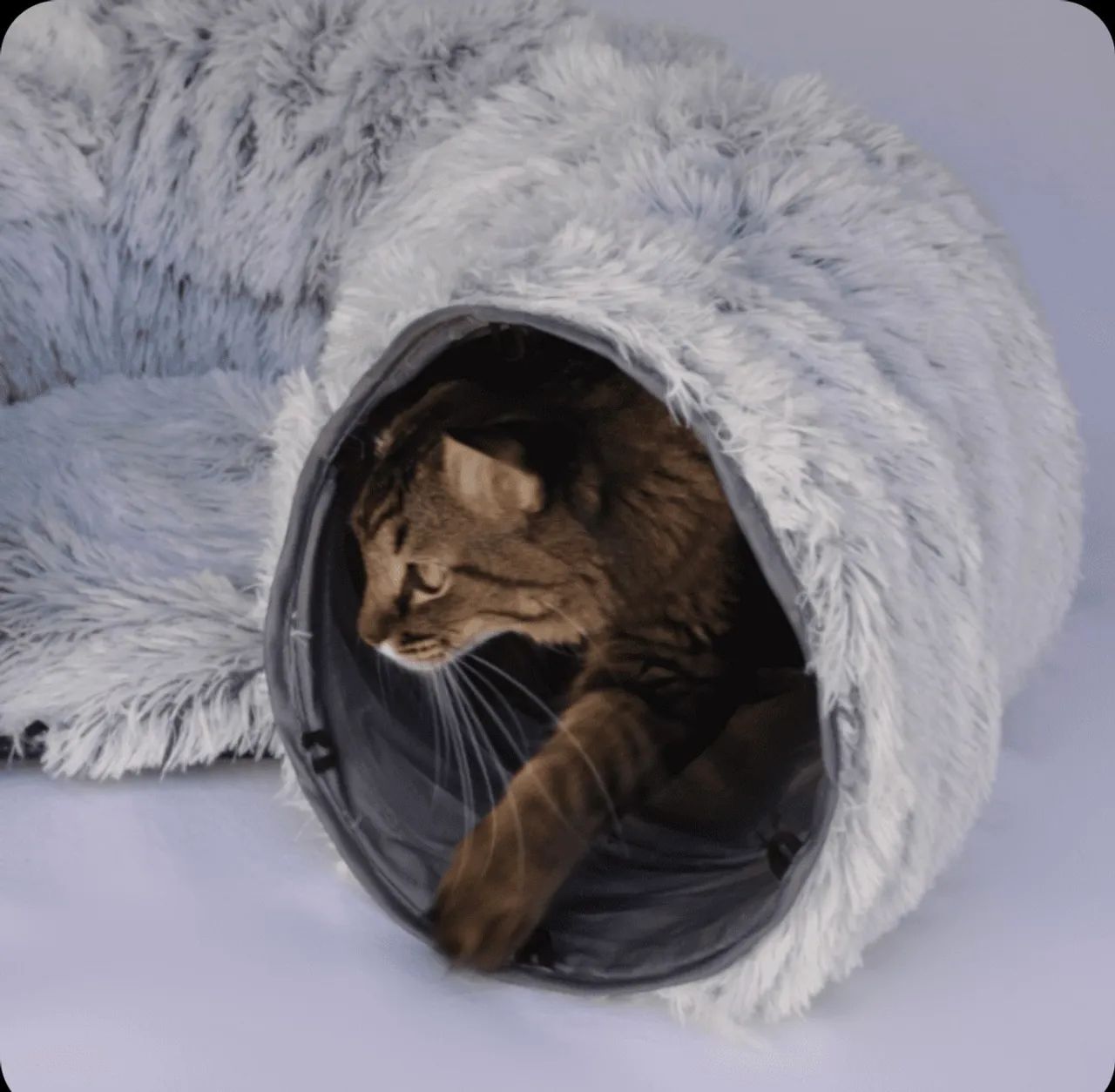 Túnel para Gatos - Brinquedo Divertido e Confortável - ORIGINAL MIAU STORE - Foto 6