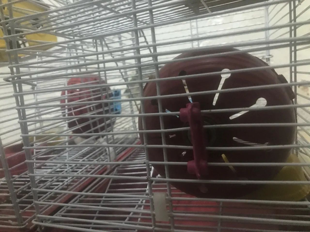 Gaiola para Roedores - Foto 2
