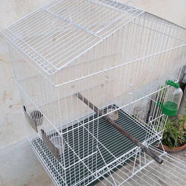 Viveiro Calopsita - Foto 5