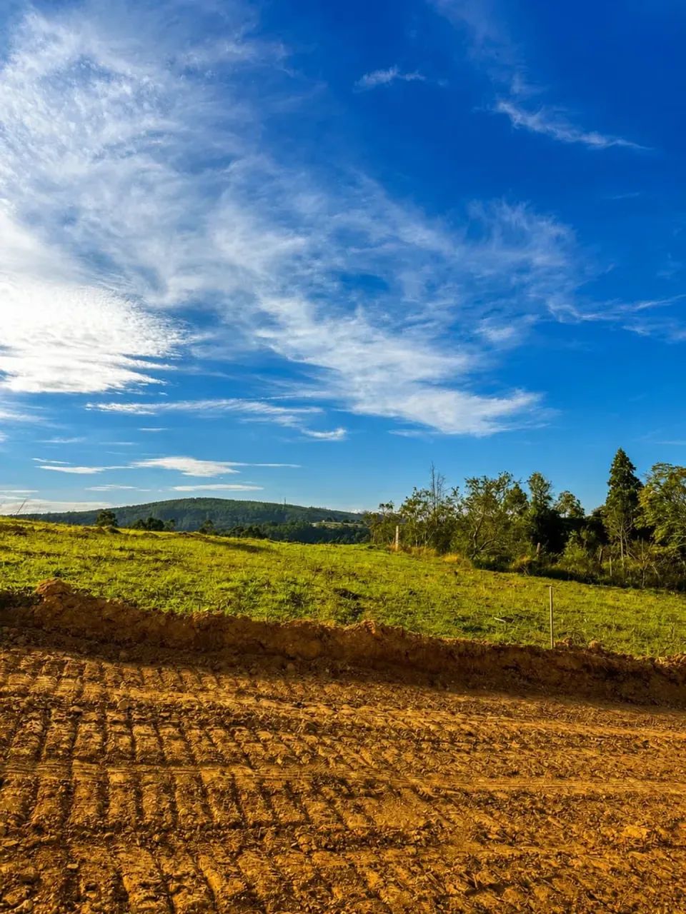 TERRENOS e LOTES DIRETAMENTE COM O PROPRIETÁRIO - Foto 4