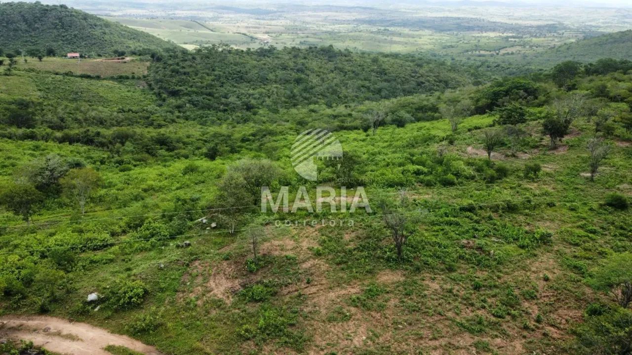 Área a venda com 14 Hectares em Gravatá/PE! - Foto 3