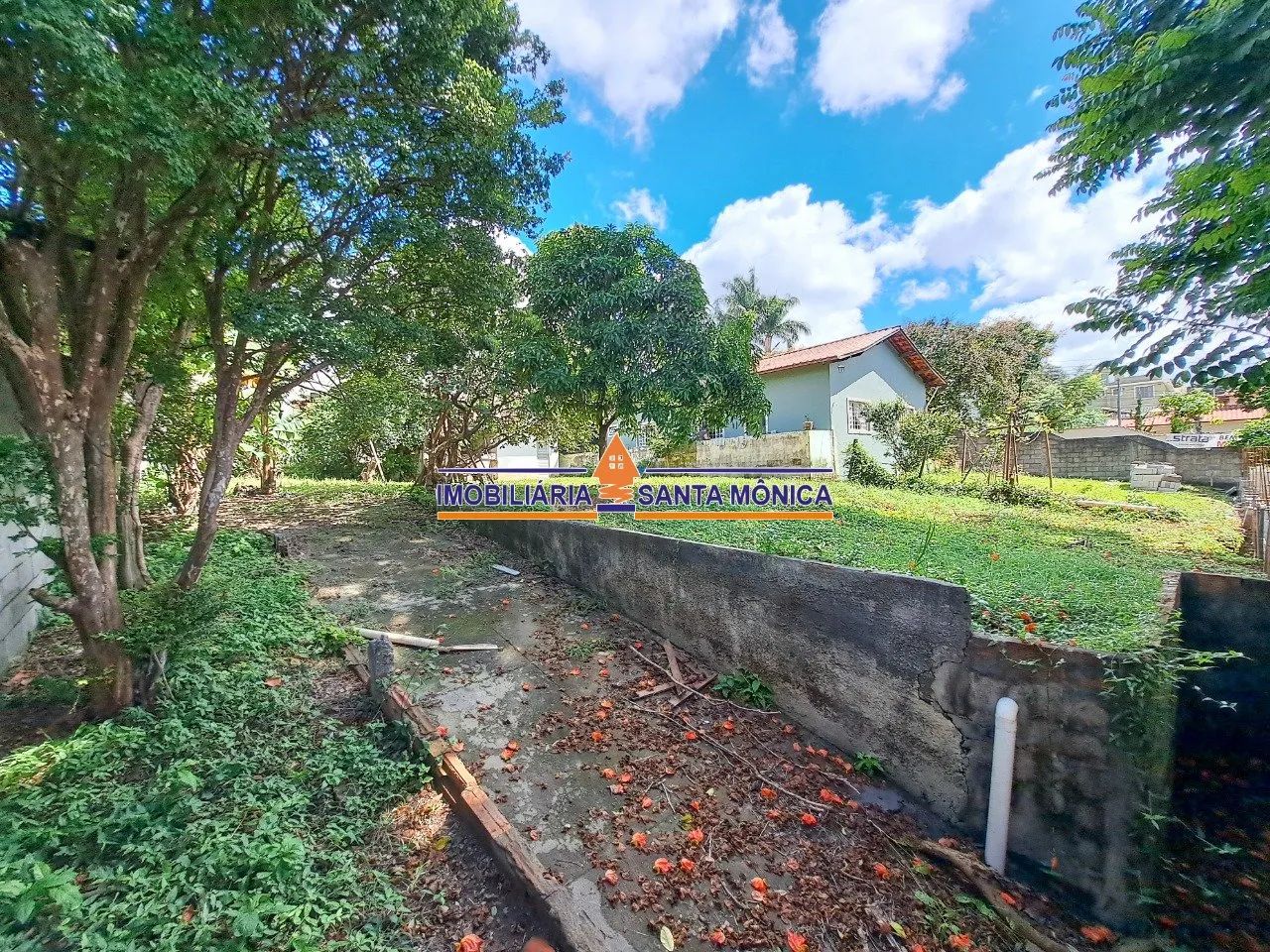 Lote 360m² - Braúnas - Foto 4