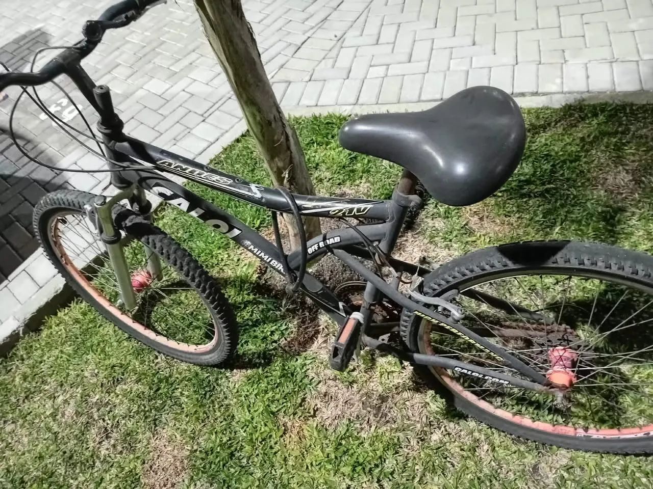 Bicicleta 