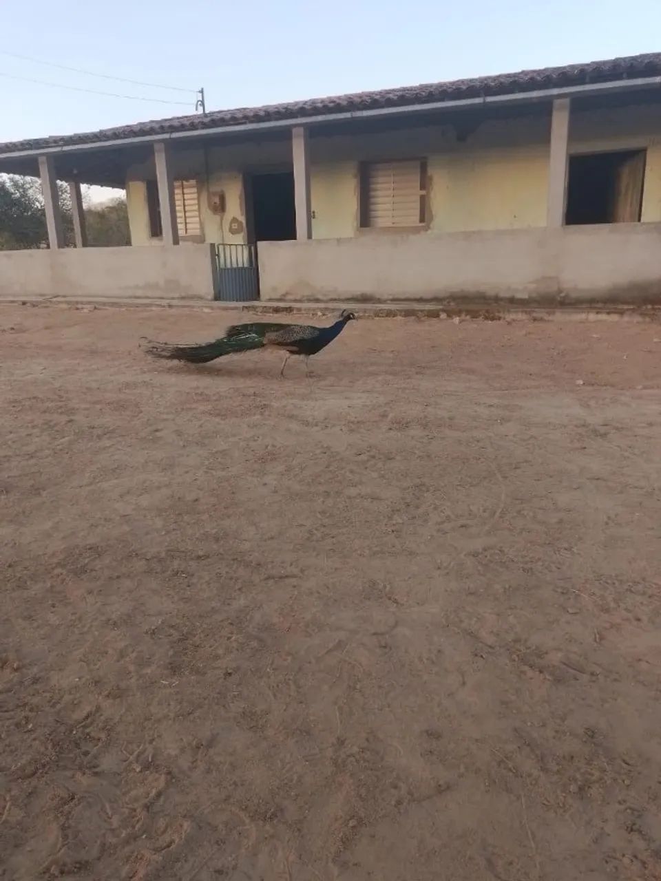 Terreno, Sítio