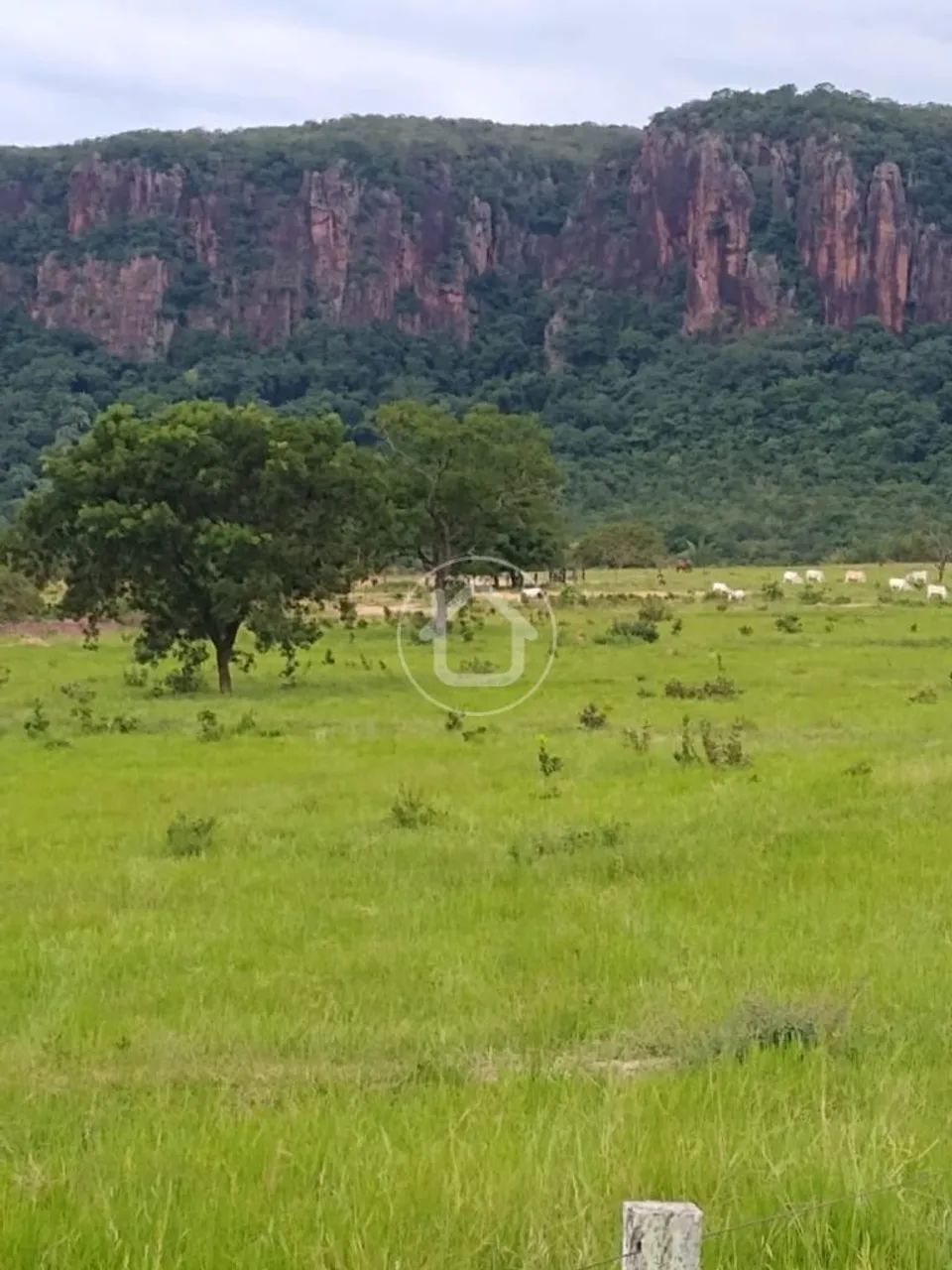 FAZENDA BRILHO DA PEDRA RIO VERDE MS