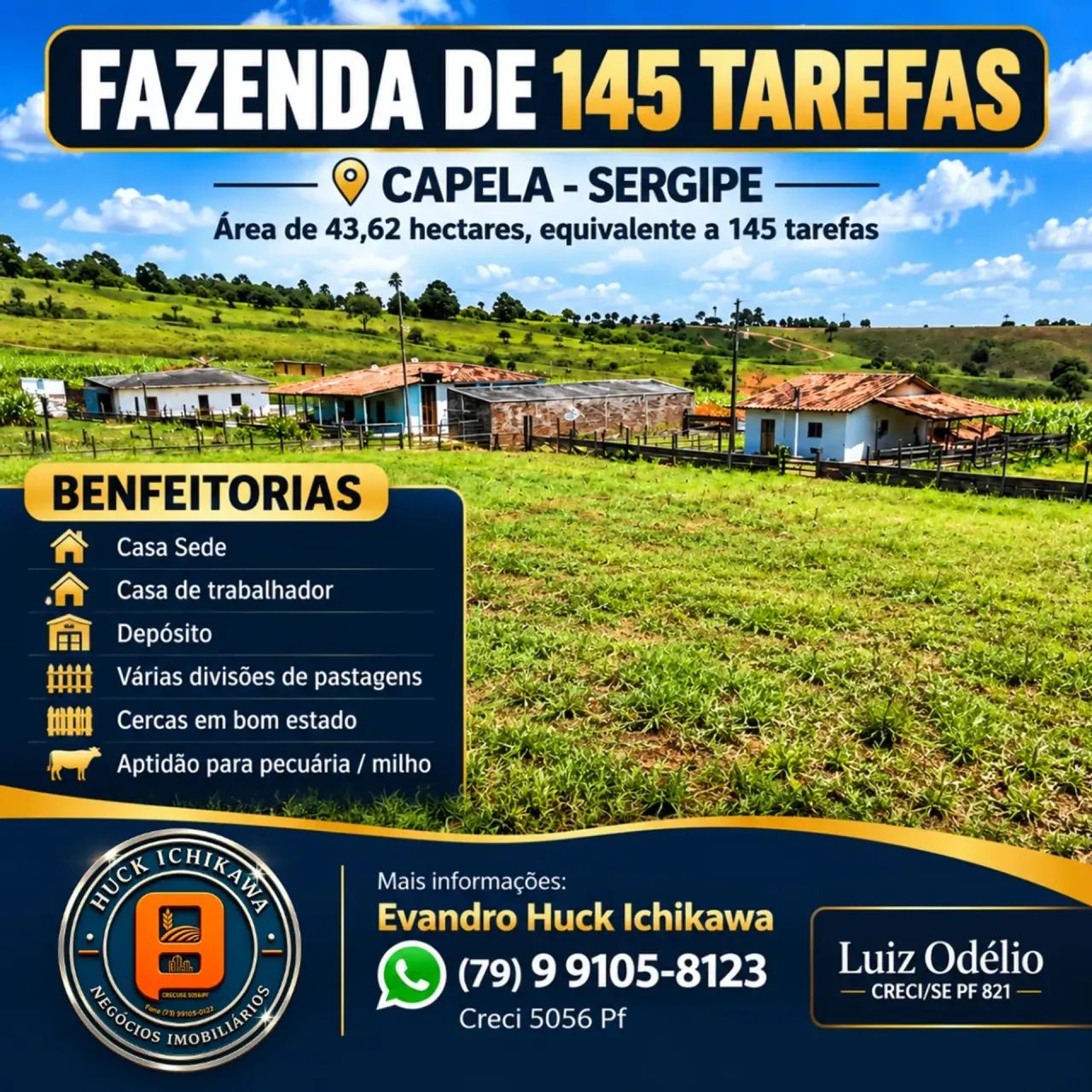 FAZENDA DE 145 TAREFAS - CAPELA - Foto 5