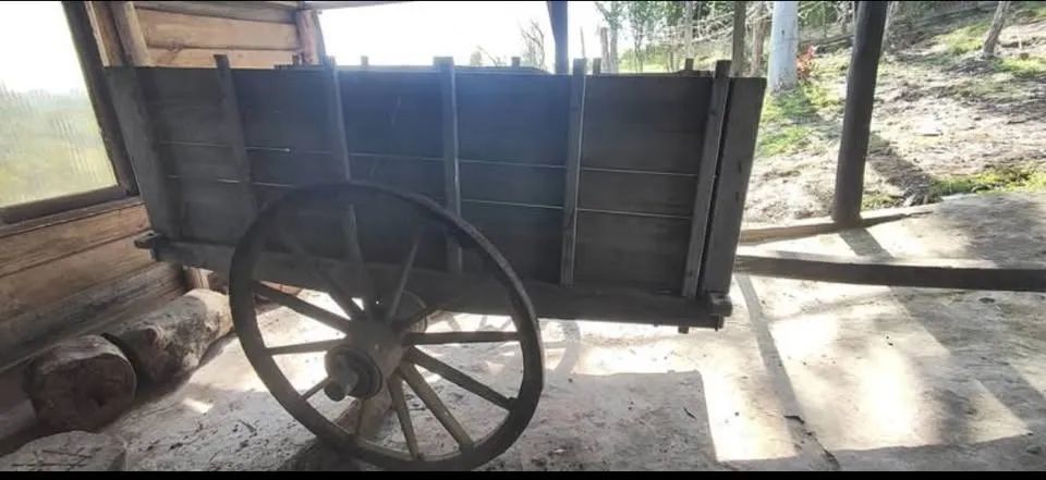 Carreta de boi  - Foto 4