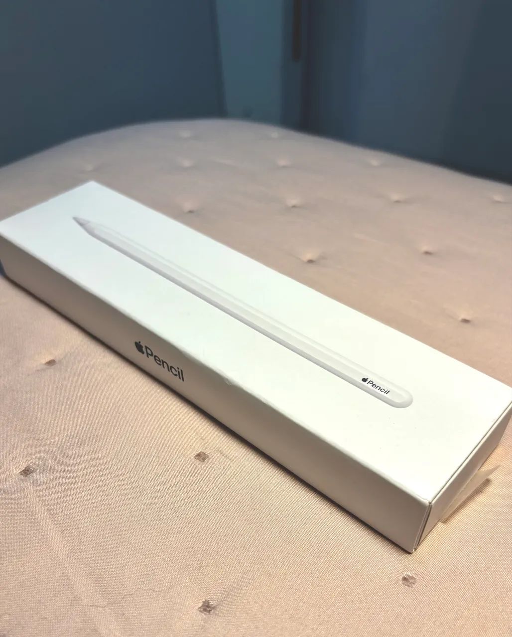 Apple Pencil 2ª Geração Usada Funcionando Perfeitamente - Foto 4
