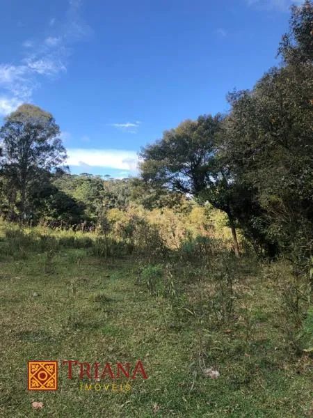 TERRENO PRÓXIMO AO CENTRO DE RIO RUFINO - Foto 5