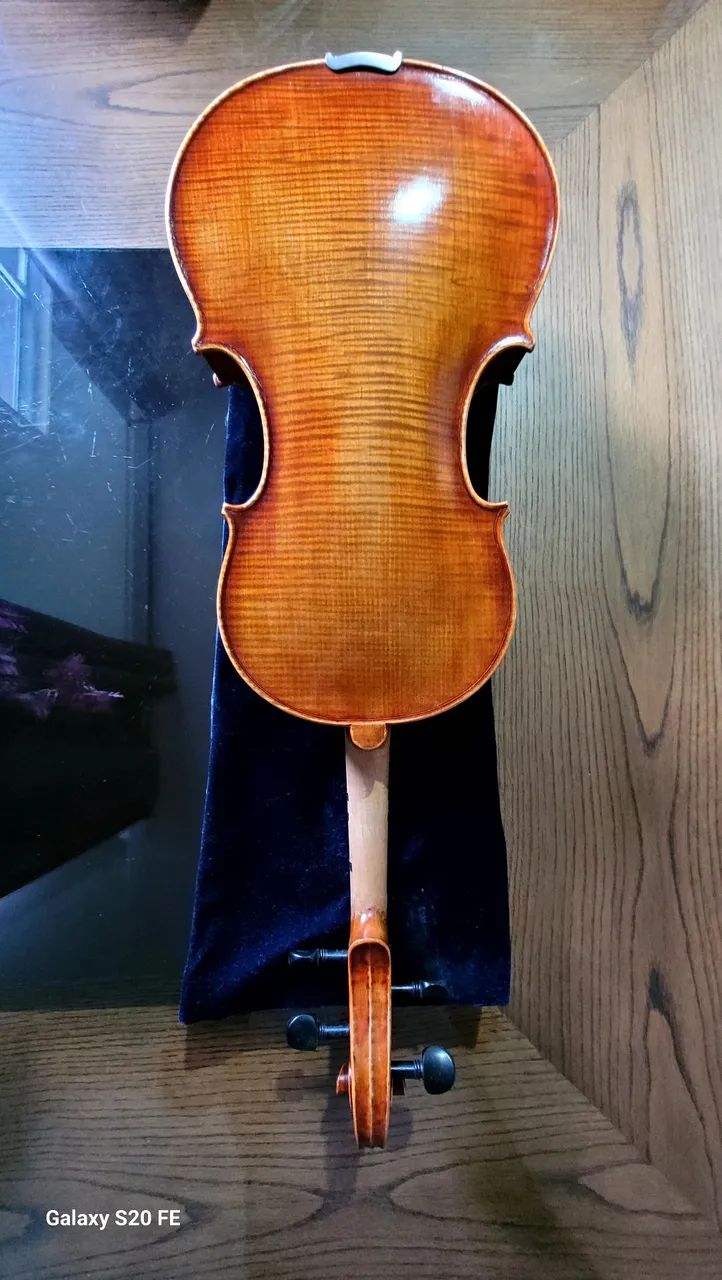 Viola classica  - Foto 2