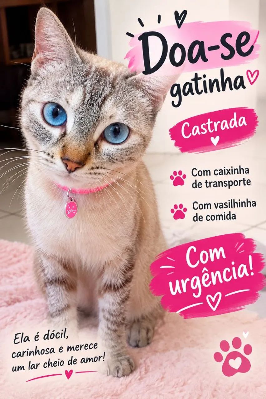 Doação de Gatinho dócil e castrada - Foto 2