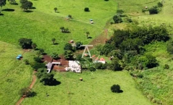Fazenda em Trindade - GO - Foto 5