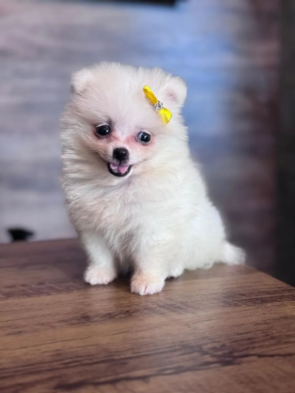 Lulu