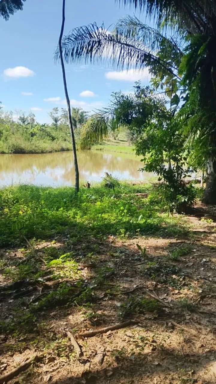 Chácara  - Foto 4