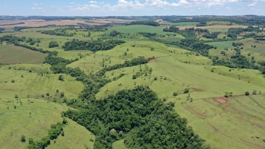 Fazenda em Ibema - Foto 2