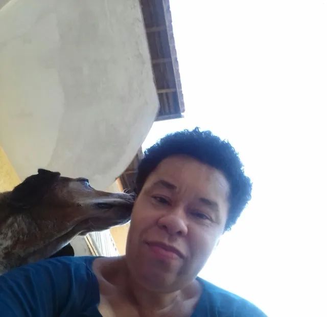 Cuidadora de cães e gatos no ABC - Foto 5